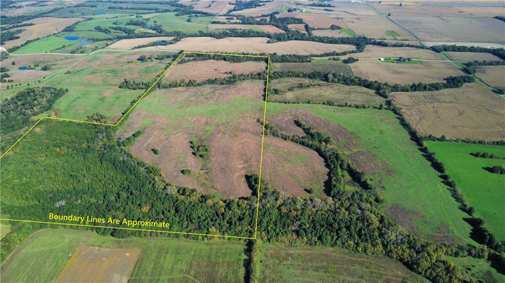 Listing Photo MLS #HMS2646621