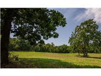 Listing Photo MLS #HMS2646649
