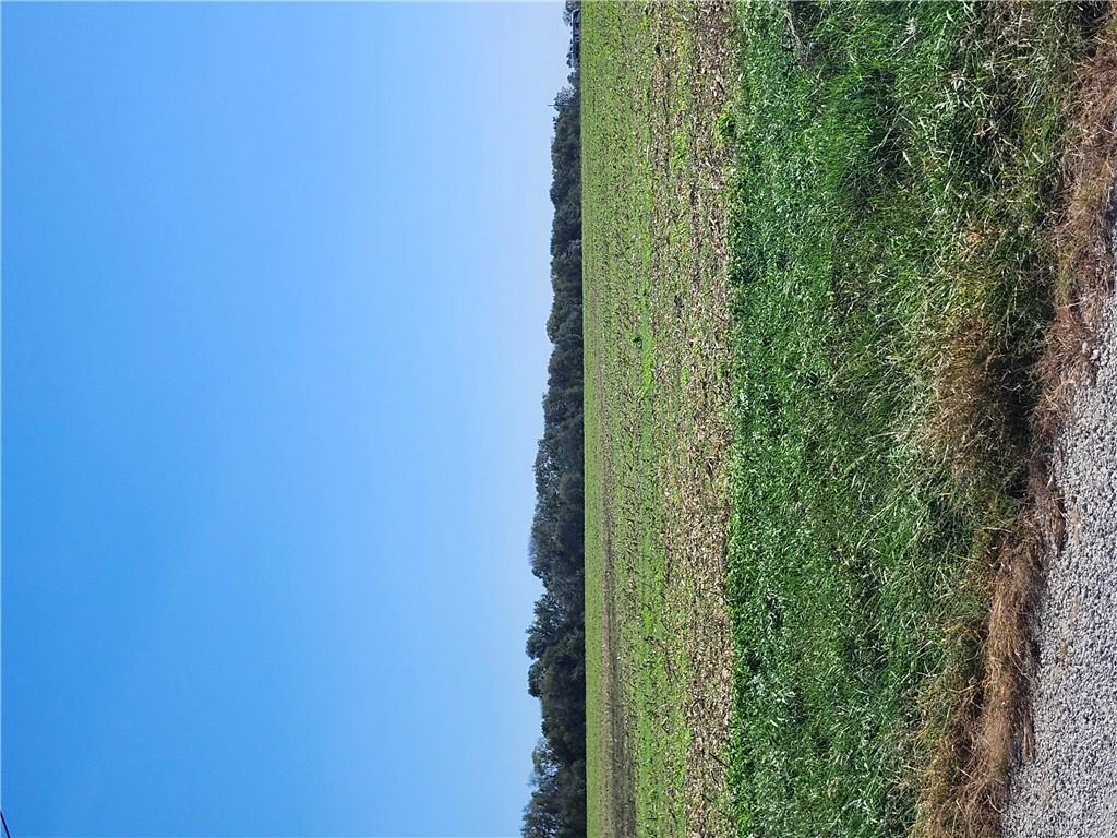 Listing Photo MLS #HMS2646803