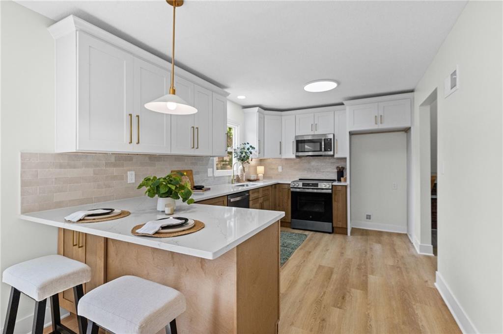 Listing Photo MLS #HMS2647588