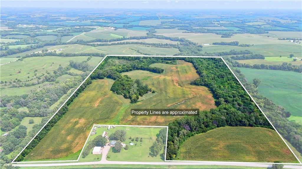 Listing Photo MLS #HMS2647590