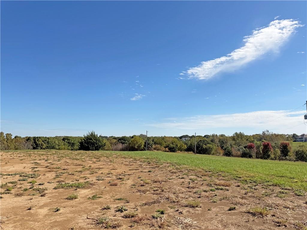 Listing Photo MLS #HMS2648148