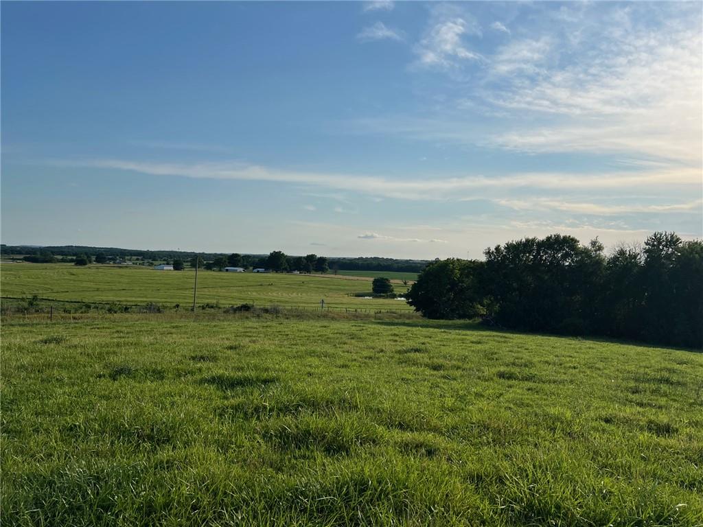 Listing Photo MLS #HMS2648474