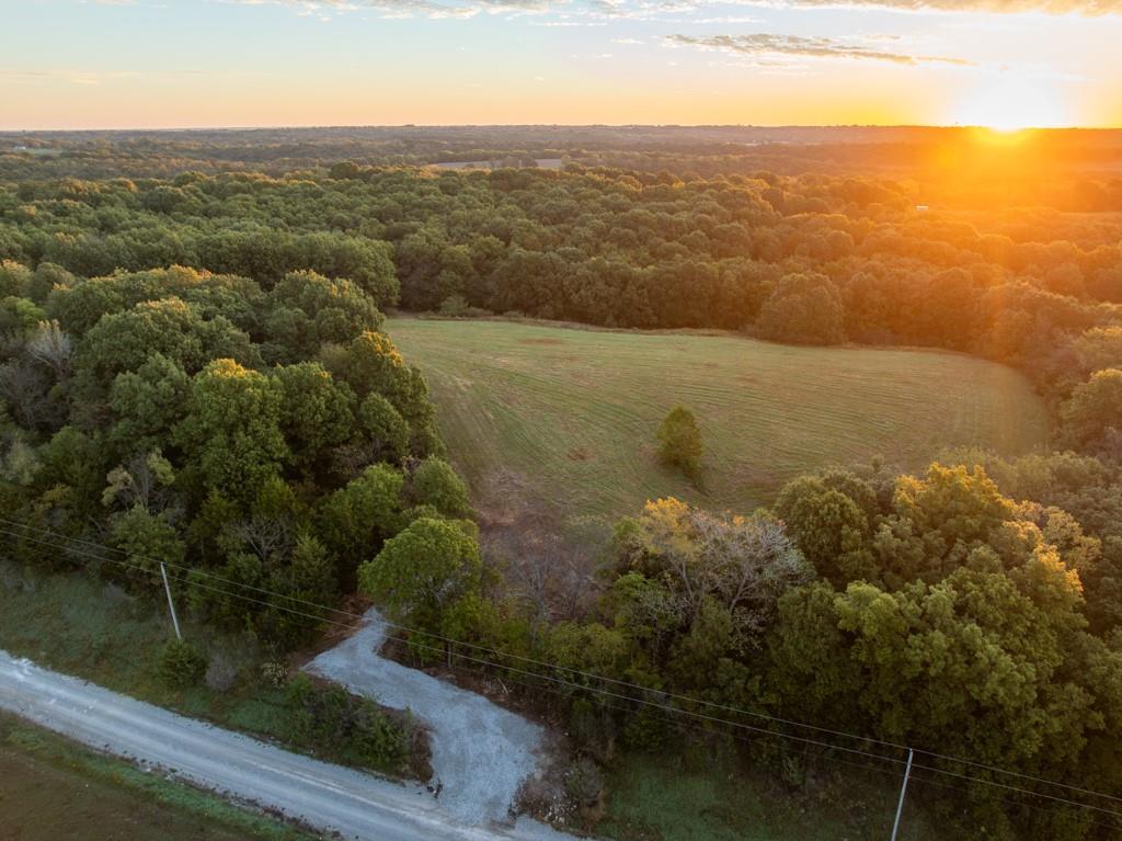 Listing Photo MLS #HMS2648750