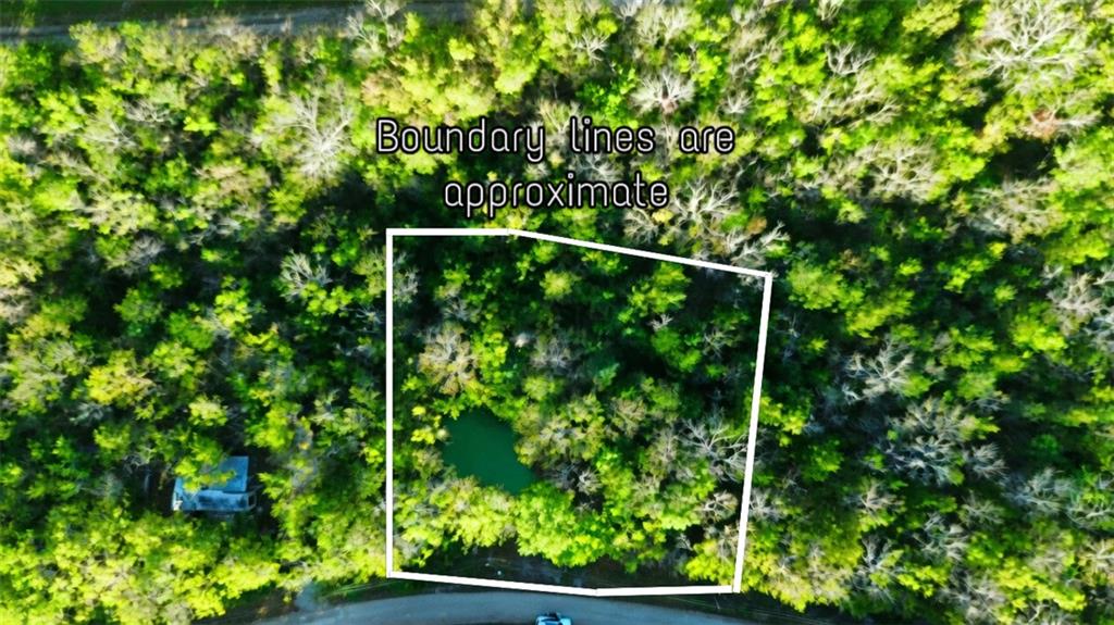 Listing Photo MLS #HMS2648937