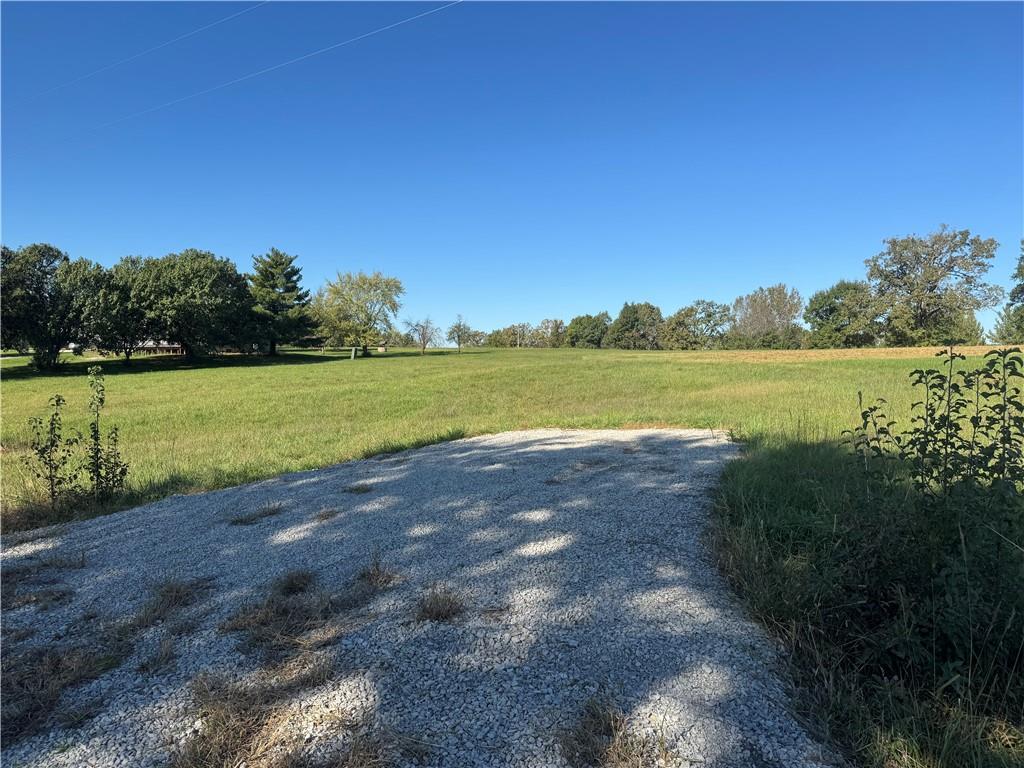 Listing Photo MLS #HMS2648951
