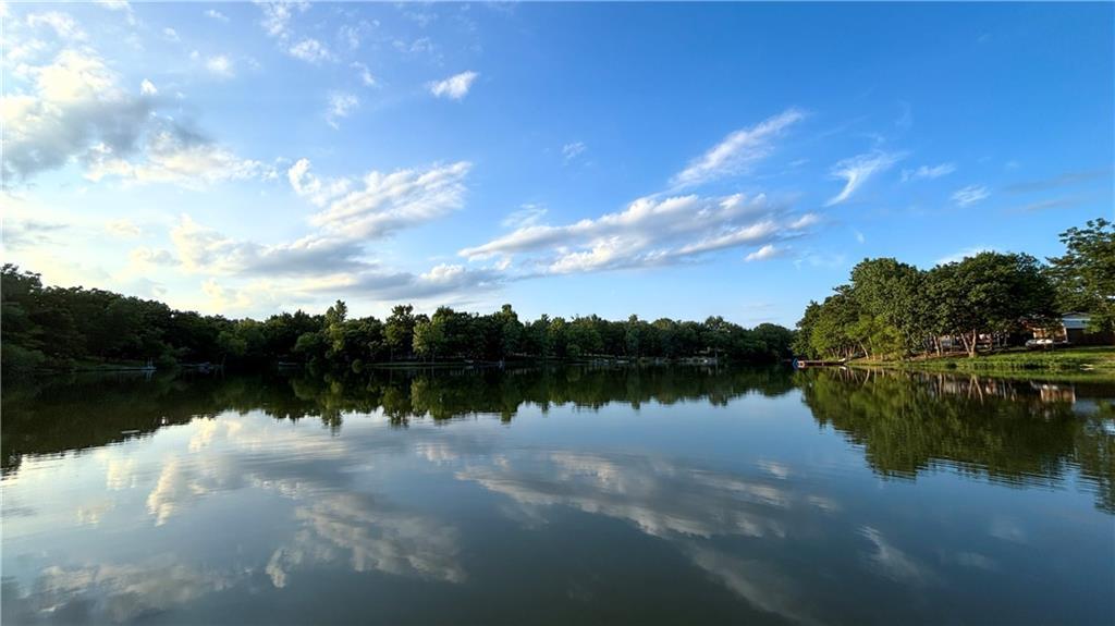 Listing Photo MLS #HMS2648997