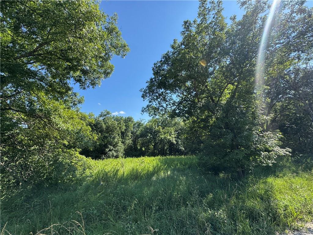 Listing Photo MLS #HMS2649025
