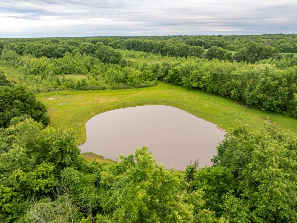Listing Photo MLS #HMS2649125