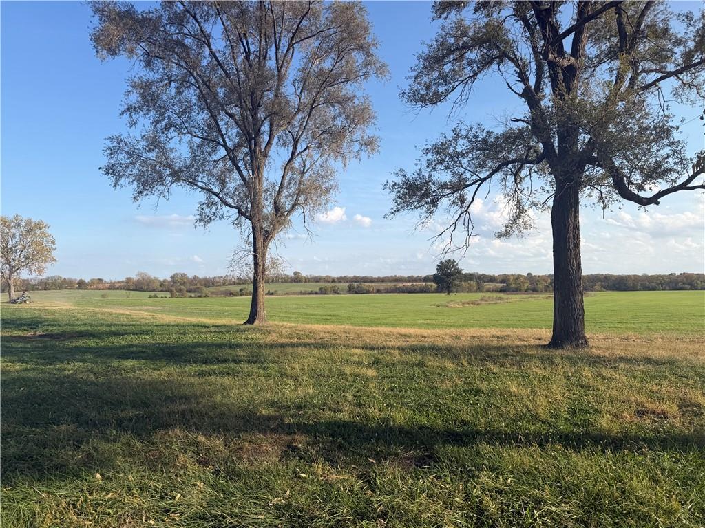 Listing Photo MLS #HMS2649329
