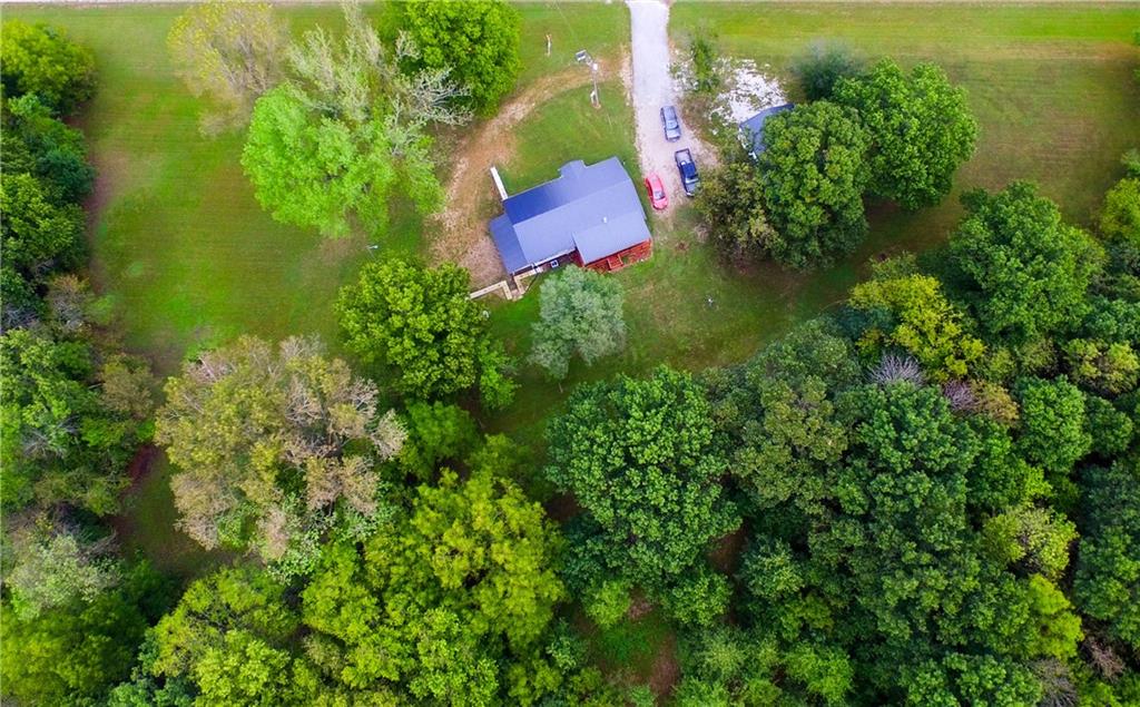 Listing Photo MLS #HMS2649596